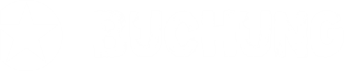 buchung